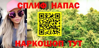 МДПВ Рязань
