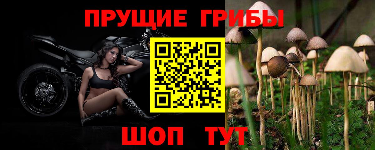 A PVP СОЛЬ   Сарапул  МЕТАМФЕТАМИН  КОКАИН  ГАШИШ  LSD-25  Меф МЯУ МЯУ   Каннабис  ГАШИШ  Вход с VPN  Метадон 